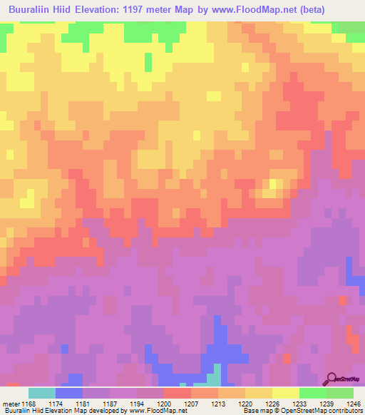 Buuraliin Hiid,Mongolia Elevation Map