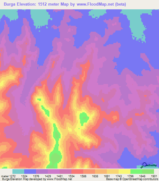 Burga,Mongolia Elevation Map
