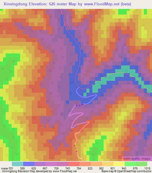 Xinxingdong,China Elevation Map