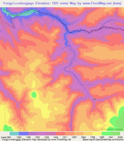 Yongp'o-rodongjagu,North Korea Elevation Map