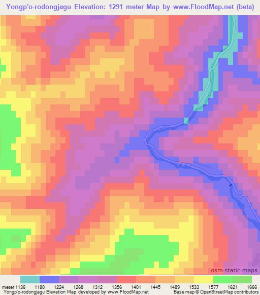 Yongp'o-rodongjagu,North Korea Elevation Map