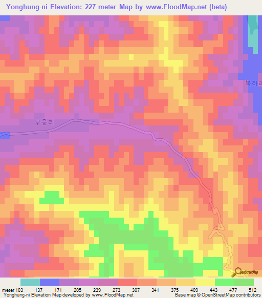 Yonghung-ni,North Korea Elevation Map