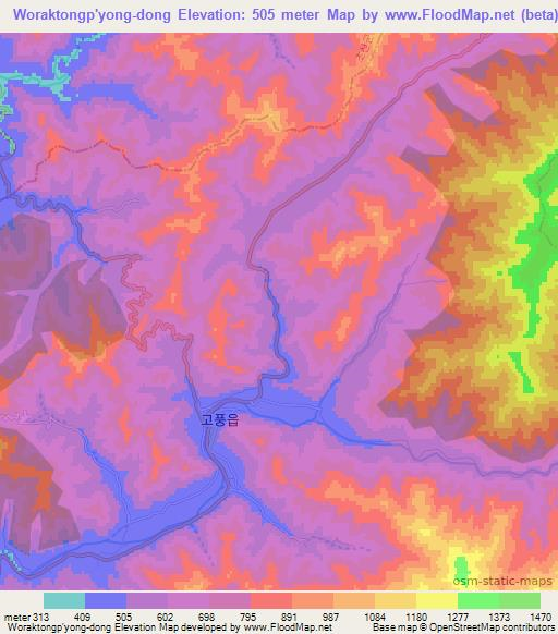 Woraktongp'yong-dong,North Korea Elevation Map