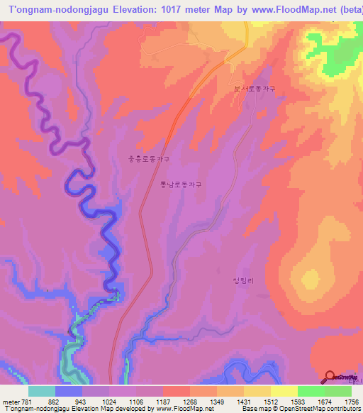 T'ongnam-nodongjagu,North Korea Elevation Map