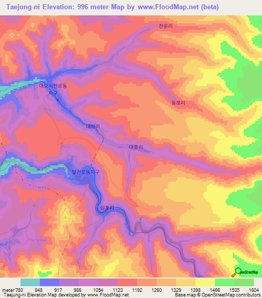 Taejung-ni,North Korea Elevation Map