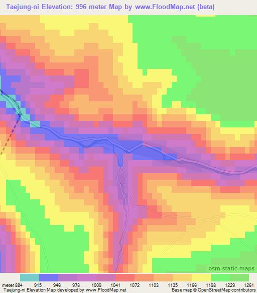 Taejung-ni,North Korea Elevation Map