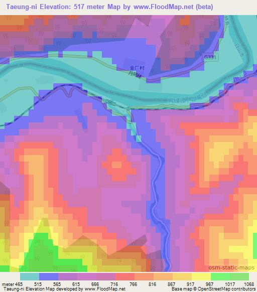 Taeung-ni,North Korea Elevation Map