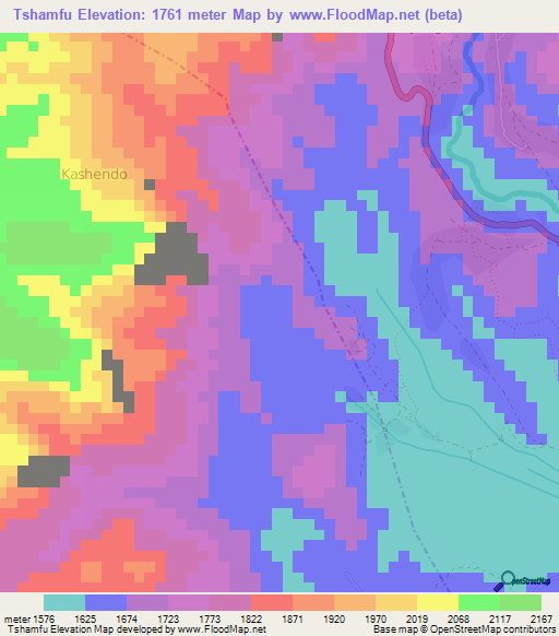Tshamfu,Congo (Kinshasa) Elevation Map