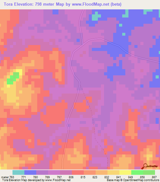 Tora,Congo (Kinshasa) Elevation Map