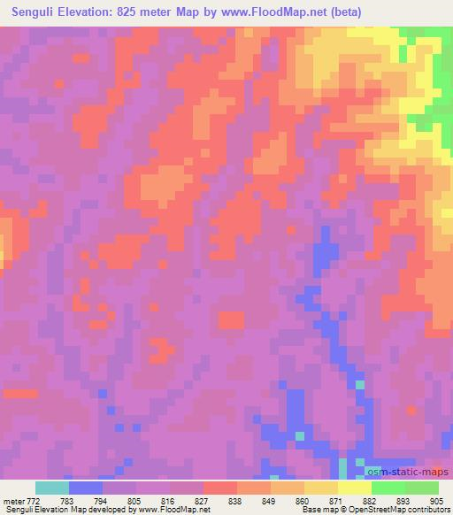 Senguli,Congo (Kinshasa) Elevation Map