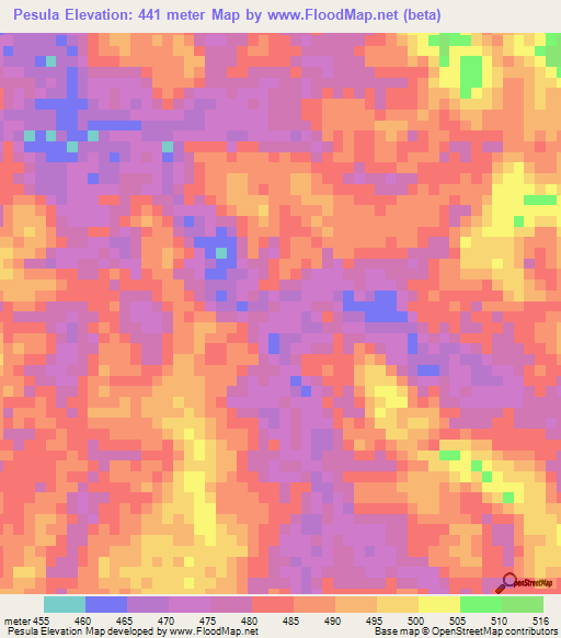 Pesula,Congo (Kinshasa) Elevation Map