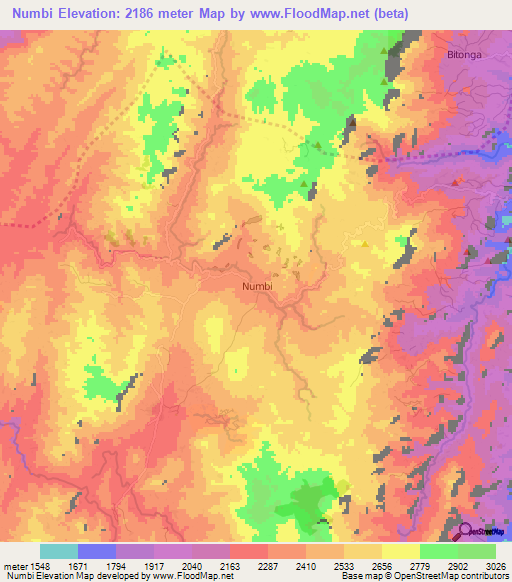 Numbi,Congo (Kinshasa) Elevation Map