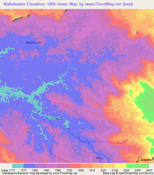 Niakabasha,Congo (Kinshasa) Elevation Map