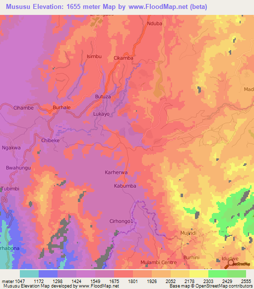 Mususu,Congo (Kinshasa) Elevation Map