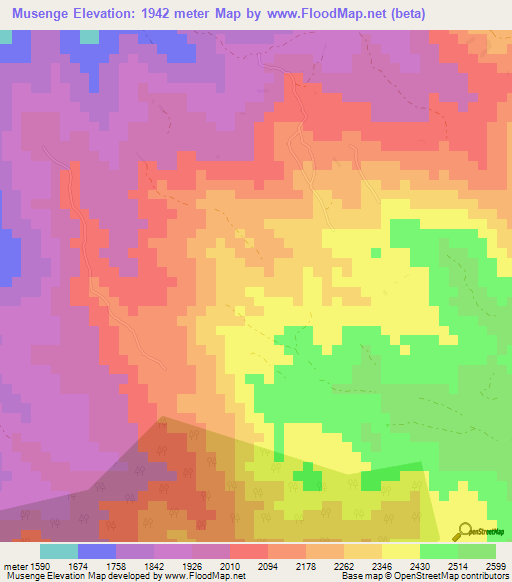 Musenge,Congo (Kinshasa) Elevation Map