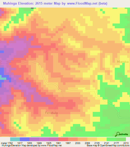 Muhinga,Congo (Kinshasa) Elevation Map
