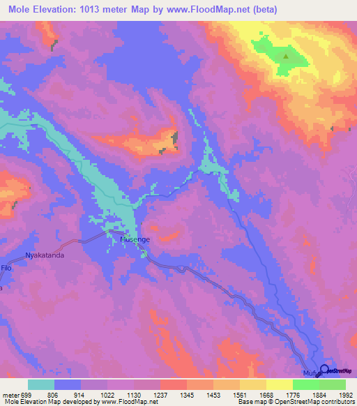 Mole,Congo (Kinshasa) Elevation Map