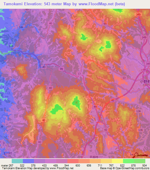 Tamokami,Japan Elevation Map