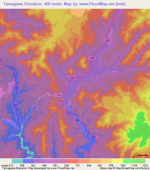 Tamagawa,Japan Elevation Map