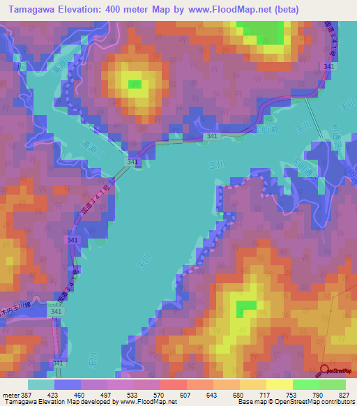 Tamagawa,Japan Elevation Map