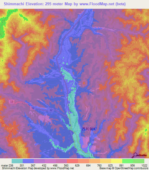 Shimmachi,Japan Elevation Map