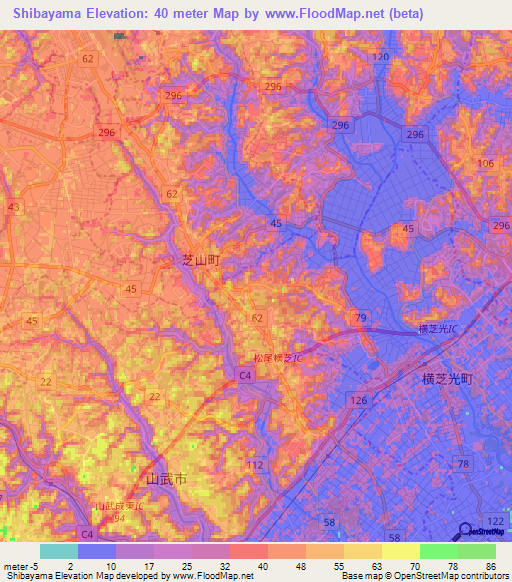 Shibayama,Japan Elevation Map