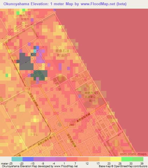Okunoyahama,Japan Elevation Map
