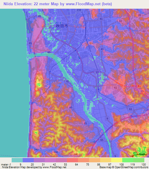 Niida,Japan Elevation Map