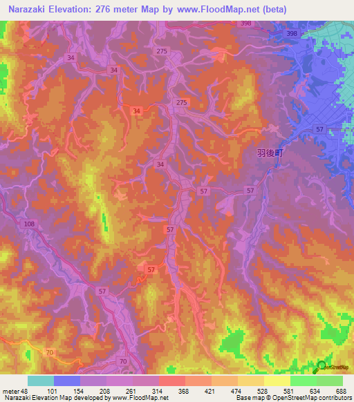 Narazaki,Japan Elevation Map