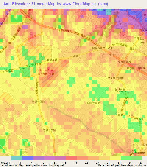 Ami,Japan Elevation Map