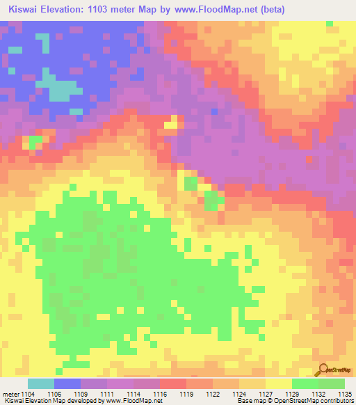 Kiswai,Congo (Kinshasa) Elevation Map