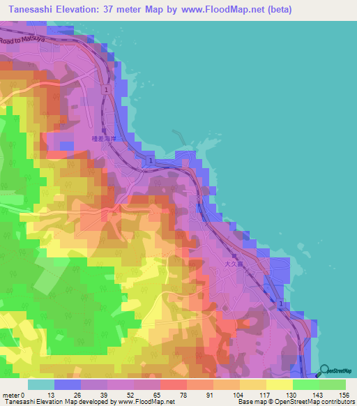 Tanesashi,Japan Elevation Map