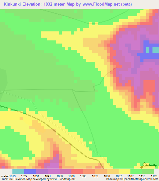 Kinkunki,Congo (Kinshasa) Elevation Map