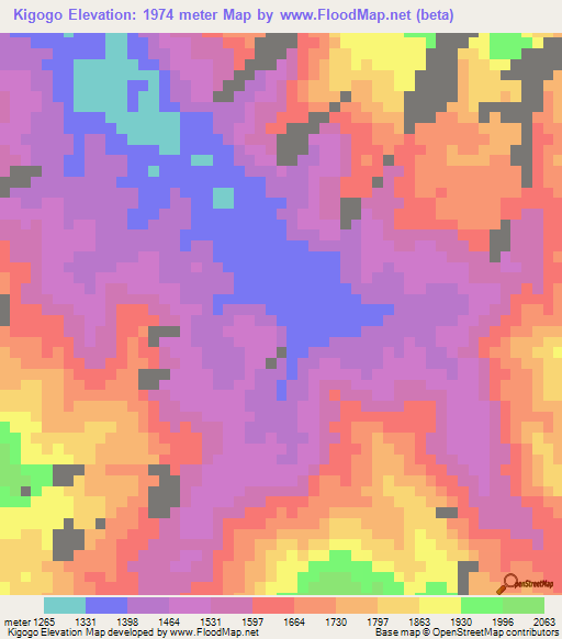 Kigogo,Congo (Kinshasa) Elevation Map