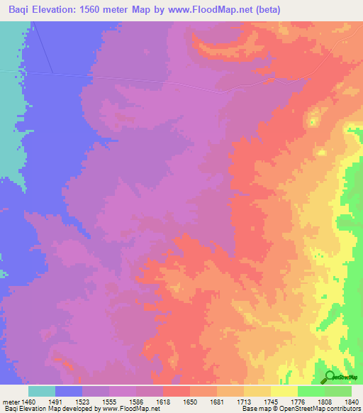 Baqi,Iran Elevation Map