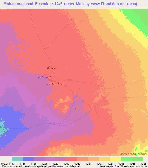 Mohammadabad,Iran Elevation Map