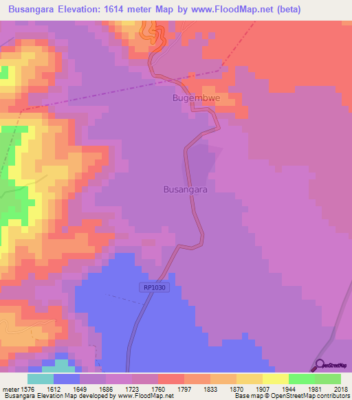 Busangara,Congo (Kinshasa) Elevation Map