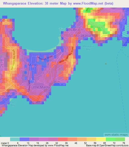 Whangaparaoa,New Zealand Elevation Map
