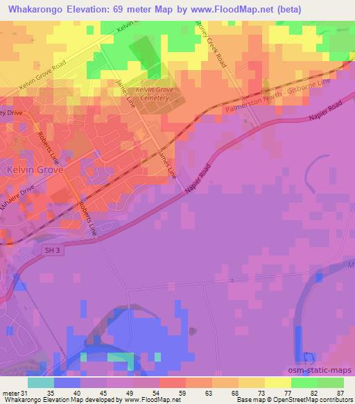 Whakarongo,New Zealand Elevation Map