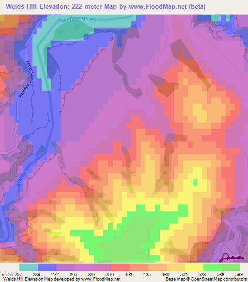Welds Hill,New Zealand Elevation Map