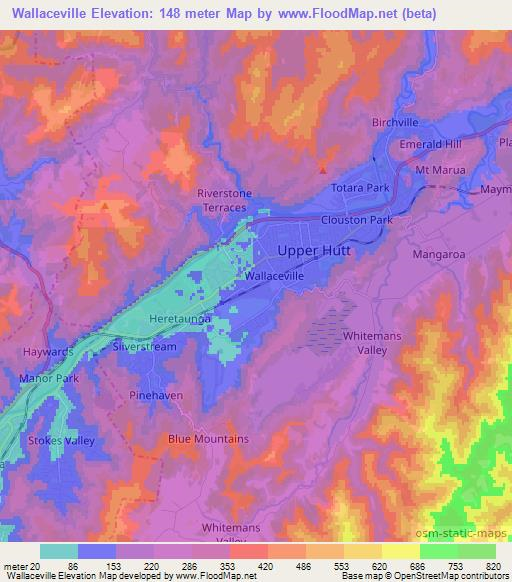 Wallaceville,New Zealand Elevation Map