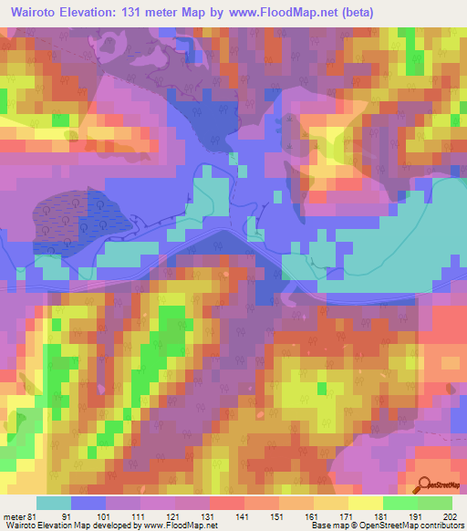 Wairoto,New Zealand Elevation Map