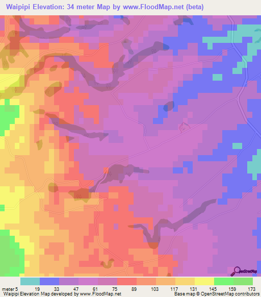 Waipipi,New Zealand Elevation Map