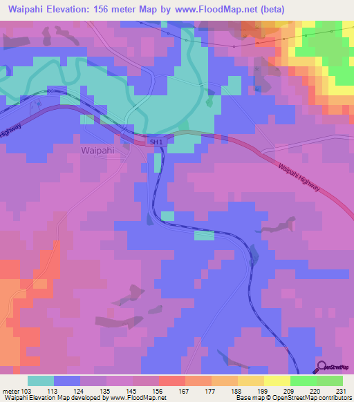 Waipahi,New Zealand Elevation Map