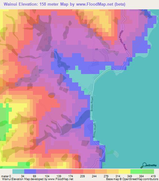 Wainui,New Zealand Elevation Map