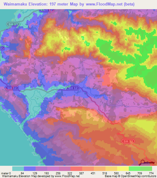 Waimamaku,New Zealand Elevation Map