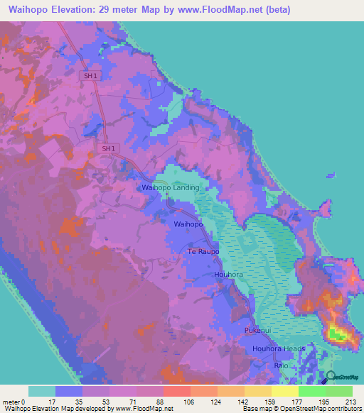 Waihopo,New Zealand Elevation Map