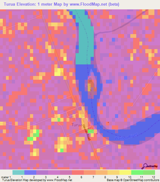 Turua,New Zealand Elevation Map