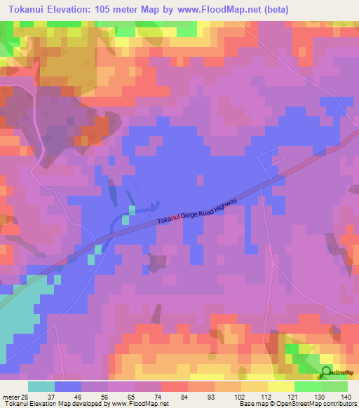 Tokanui,New Zealand Elevation Map