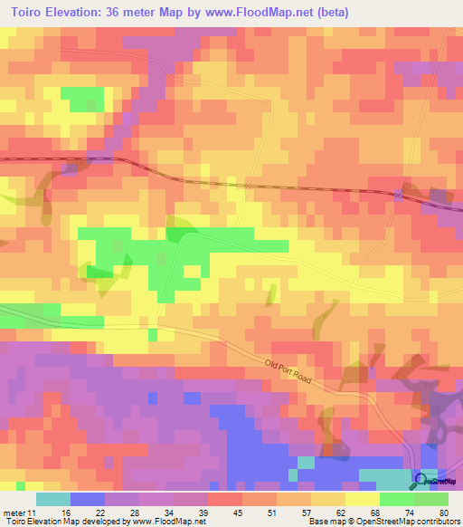 Toiro,New Zealand Elevation Map